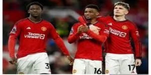 九游体育真人娱乐全攻略